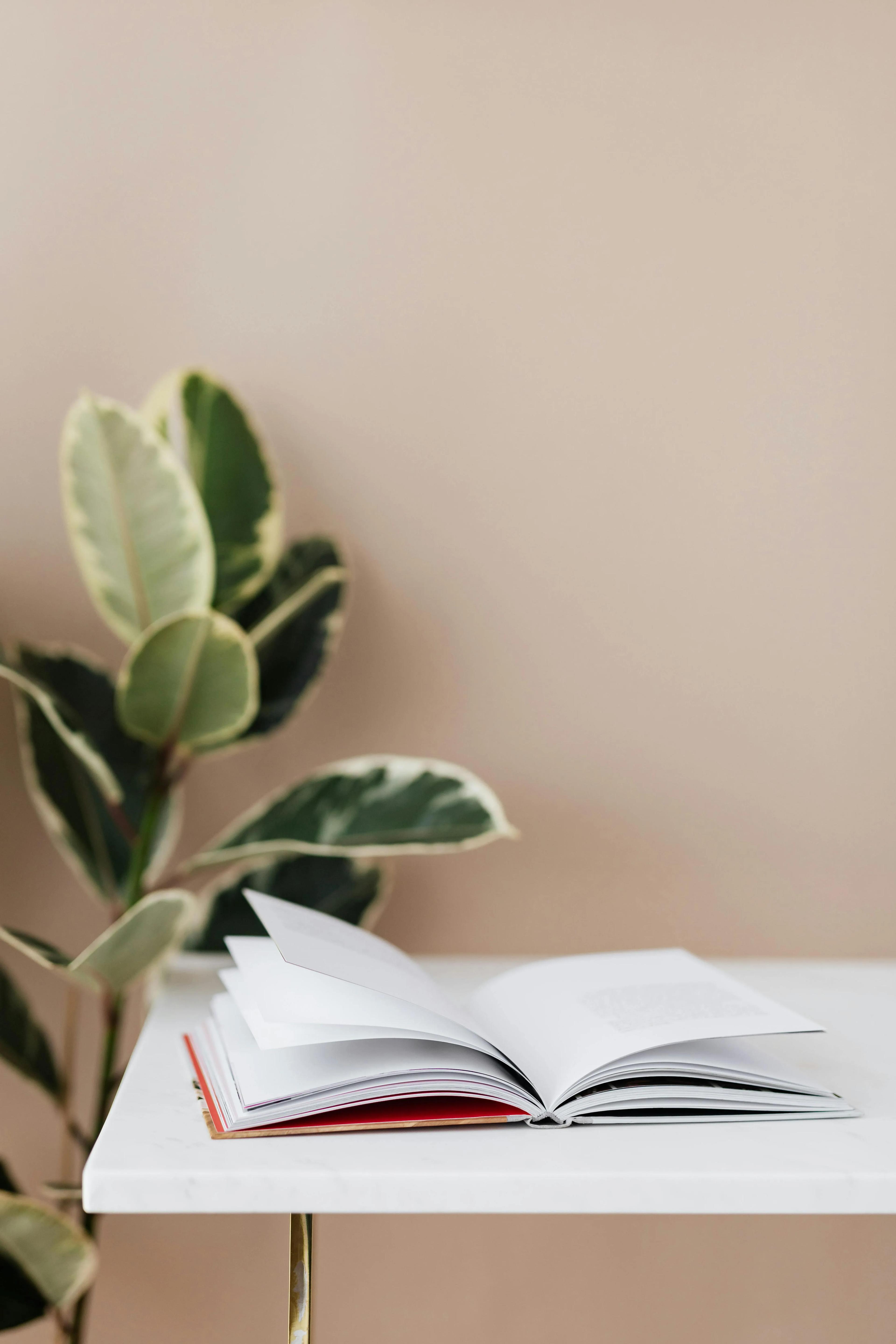Buch und Pflanze